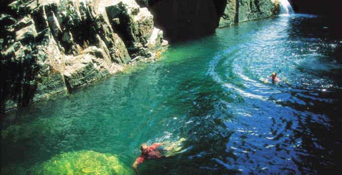 Voyage sur-mesure, Eungella National Park